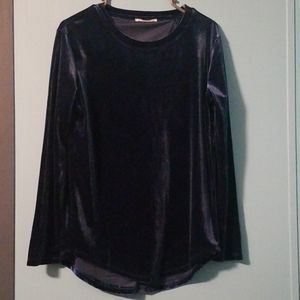 Blue velvet top